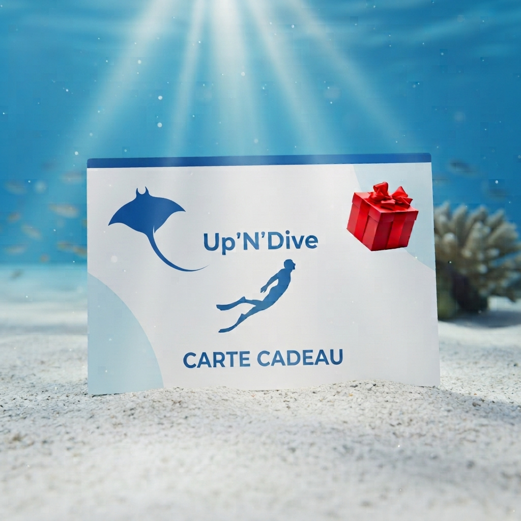 Cartes Cadeaux Up'N'Dive